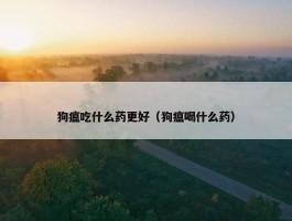 狗瘟吃什么药更好（狗瘟喝什么药）