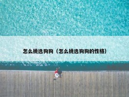 怎么挑选狗狗（怎么挑选狗狗的性格）