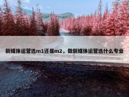 新媒体运营选m1还是m2，做新媒体运营选什么专业