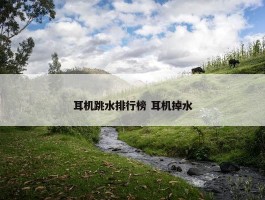 耳机跳水排行榜 耳机掉水