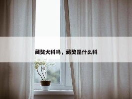 藏獒犬科吗，藏獒是什么科