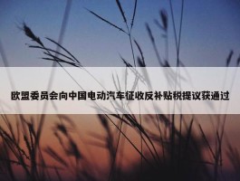 欧盟委员会向中国电动汽车征收反补贴税提议获通过