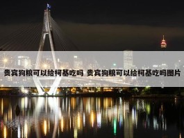 贵宾狗粮可以给柯基吃吗 贵宾狗粮可以给柯基吃吗图片