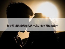 兔子可以洗澡吗多久洗一次，兔子可以洗澡不