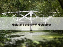 秦plus轿车销量排行榜 秦plus售价