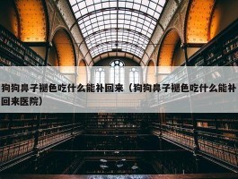 狗狗鼻子褪色吃什么能补回来（狗狗鼻子褪色吃什么能补回来医院）