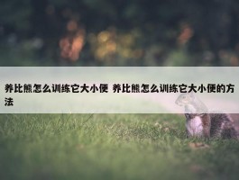 养比熊怎么训练它大小便 养比熊怎么训练它大小便的方法