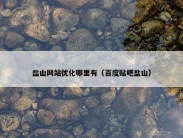 盐山网站优化哪里有（百度贴吧盐山）