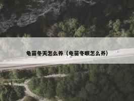 龟苗冬天怎么养（龟苗冬眠怎么养）