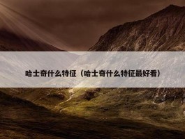 哈士奇什么特征（哈士奇什么特征最好看）