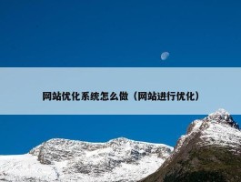 网站优化系统怎么做（网站进行优化）