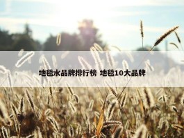 地毯水品牌排行榜 地毯10大品牌