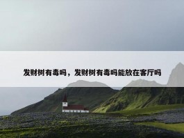 发财树有毒吗，发财树有毒吗能放在客厅吗