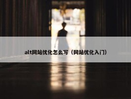 alt网站优化怎么写（网站优化入门）