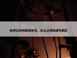 如何让狗狗做成首页，怎么让狗狗成为网红