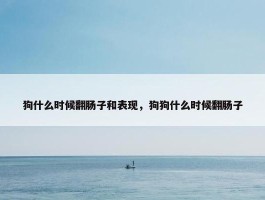 狗什么时候翻肠子和表现，狗狗什么时候翻肠子