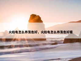 火焰龟怎么养发色好，火焰龟怎么养发色好看