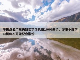 辛巴点名广东夫妇卖学习机赚1000差价，涉事小度学习机称不可能配合涨价