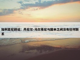 加利亚尼辟谣：丹尼尔-马尔蒂尼与国米之间没有任何联系