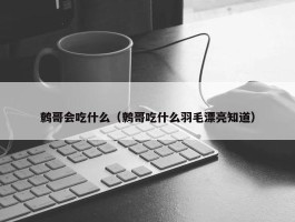 鹩哥会吃什么（鹩哥吃什么羽毛漂亮知道）