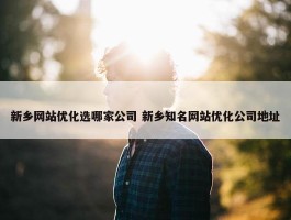 新乡网站优化选哪家公司 新乡知名网站优化公司地址