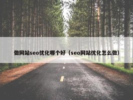 做网站seo优化哪个好（seo网站优化怎么做）