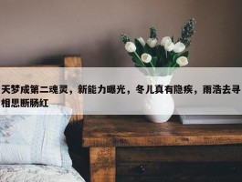 天梦成第二魂灵，新能力曝光，冬儿真有隐疾，雨浩去寻相思断肠红