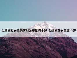 金丝熊和仓鼠的区别公婆鼠哪个好 金丝熊跟仓鼠哪个好