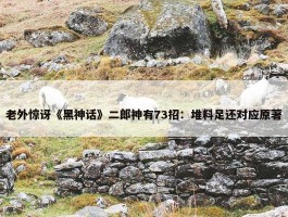 老外惊讶《黑神话》二郎神有73招：堆料足还对应原著