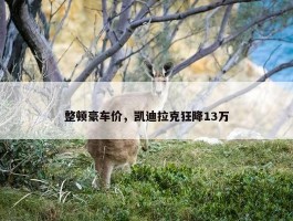 整顿豪车价，凯迪拉克狂降13万