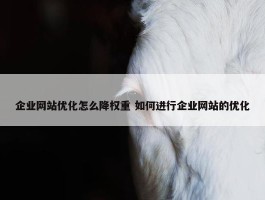 企业网站优化怎么降权重 如何进行企业网站的优化