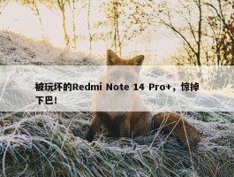 被玩坏的Redmi Note 14 Pro+，惊掉下巴！