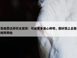 张雨霏谈郑钦文赢球：可能更多是心疼吧，我好想上去替她挥两拍