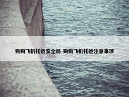 狗狗飞机托运安全吗 狗狗飞机托运注意事项