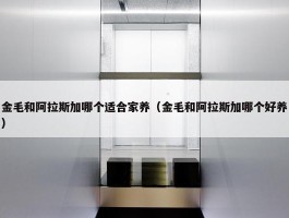 金毛和阿拉斯加哪个适合家养（金毛和阿拉斯加哪个好养）