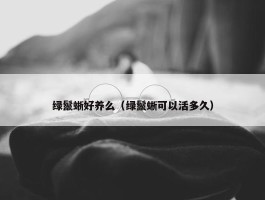 绿鬣蜥好养么（绿鬣蜥可以活多久）