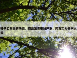 轩子公布最新动态，膝盖淤青更加严重，网友劝力哥别太狠