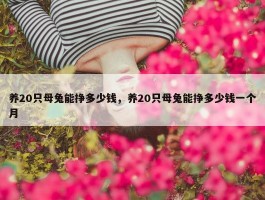 养20只母兔能挣多少钱，养20只母兔能挣多少钱一个月