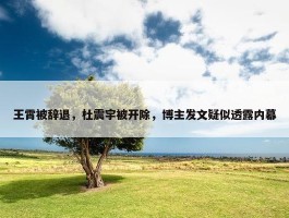 王霄被辞退，杜震宇被开除，博主发文疑似透露内幕