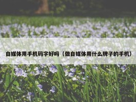 自媒体用手机码字好吗（做自媒体用什么牌子的手机）