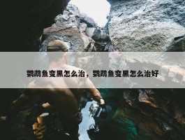 鹦鹉鱼变黑怎么治，鹦鹉鱼变黑怎么治好