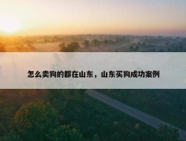 怎么卖狗的都在山东，山东买狗成功案例