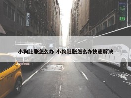 小狗肚胀怎么办 小狗肚胀怎么办快速解决