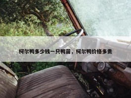 柯尔鸭多少钱一只鸭苗，柯尔鸭价格多贵