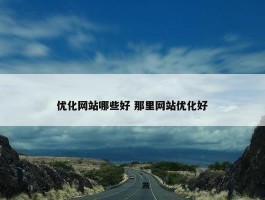 优化网站哪些好 那里网站优化好