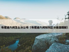 布隆迪六间怎么分公母（布隆迪六间如何区分雌雄图解）