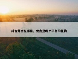 抖音龙宫在哪里，龙宫是哪个平台的礼物