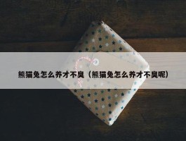 熊猫兔怎么养才不臭（熊猫兔怎么养才不臭呢）