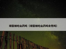 绿鬣蜥吃山药吗（绿鬣蜥吃山药吗会死吗）