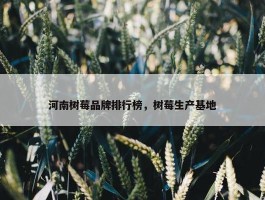 河南树莓品牌排行榜，树莓生产基地